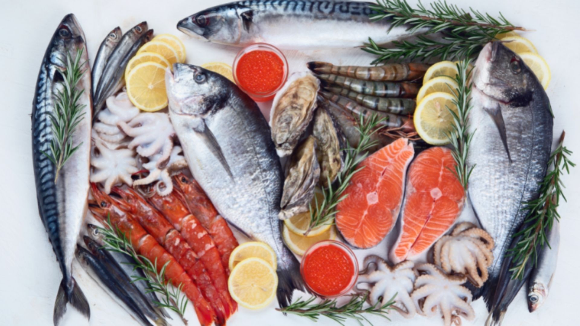 safe-handling-of-fish-and-shellfish-in-cold-chain-shipping