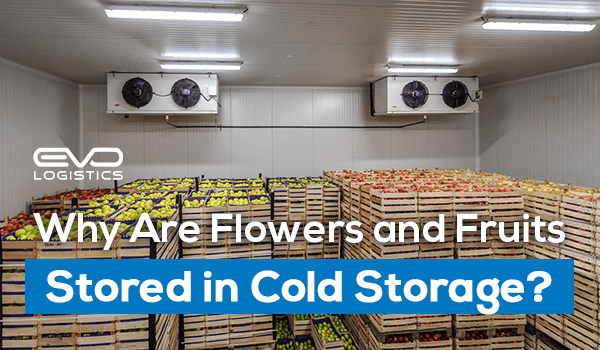 Why are flower and fruits stored in cold storage?